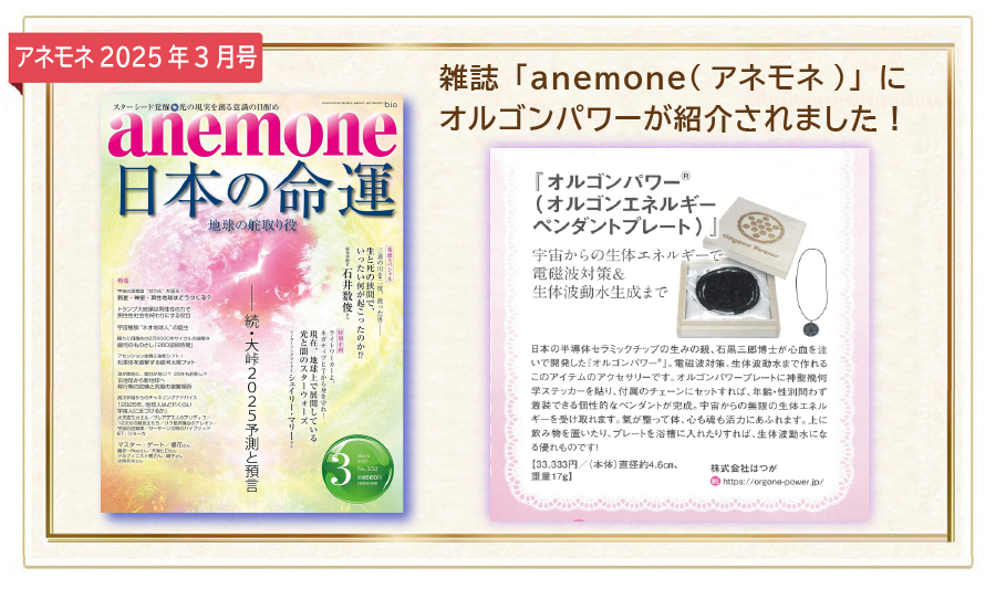 veggyで掲載されました。