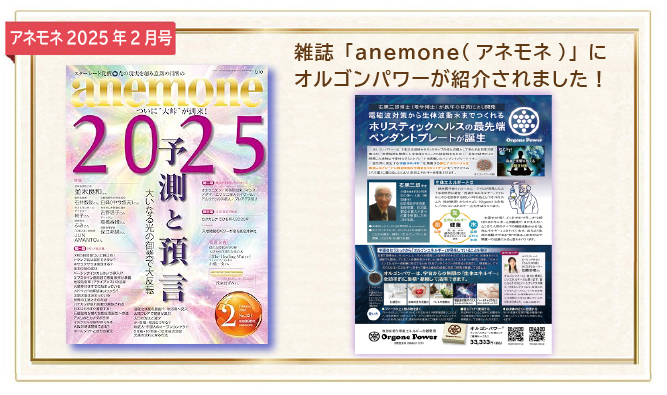 veggyで掲載されました。