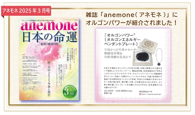 veggyで掲載されました。